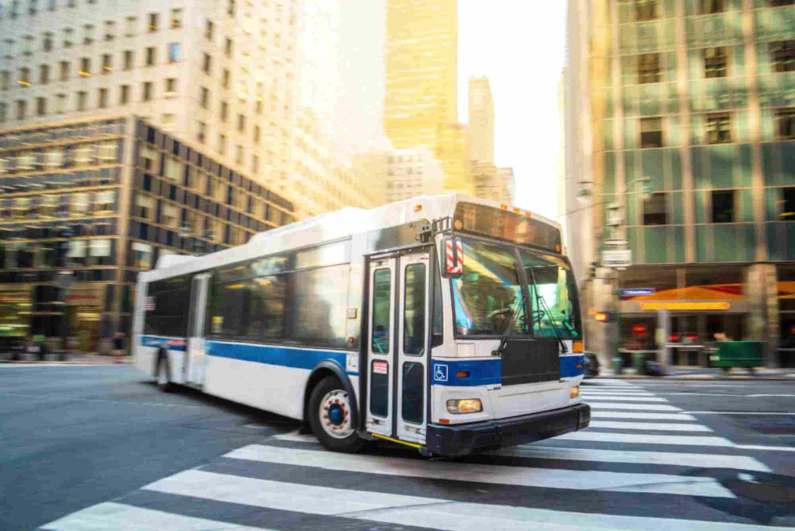 Program Pemerintah Untuk Transportasi Massal